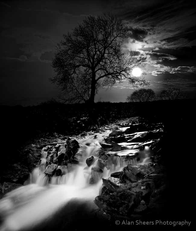Moonlight copy